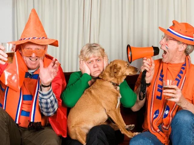 Nederlandse cultuur in nijmegen