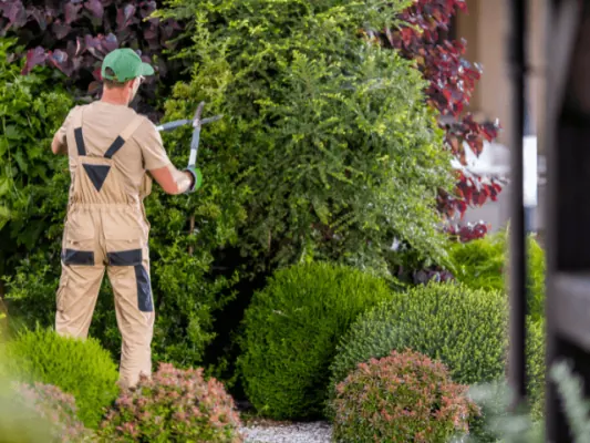 Geen groene vingers? Kies dan voor een hovenier